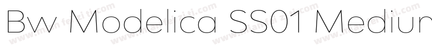 Bw Modelica SS01 Medium Expanded字体转换